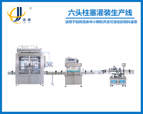 六头柱塞灌装生产线